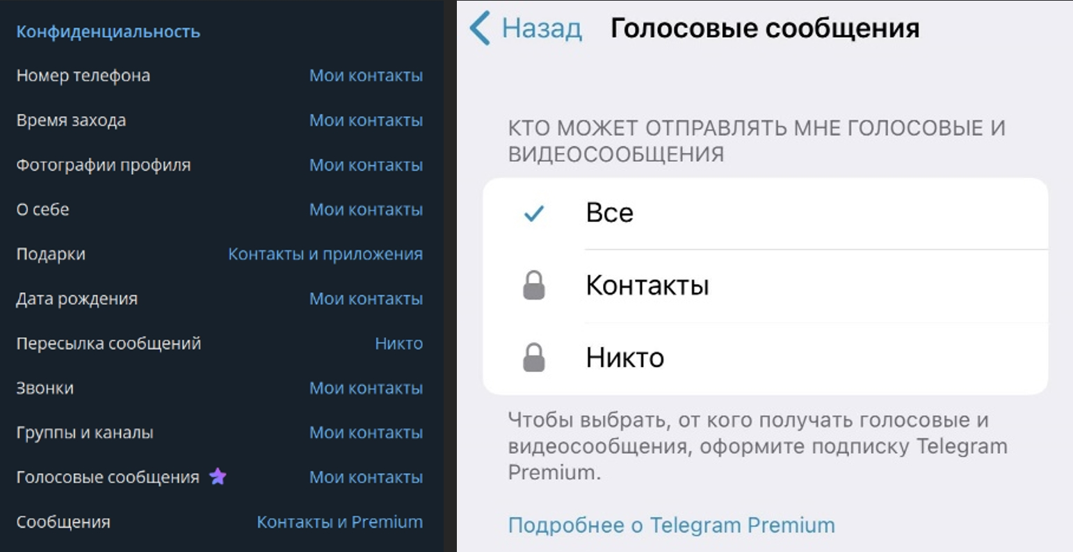 Настройки конфиденциальности мессенджера