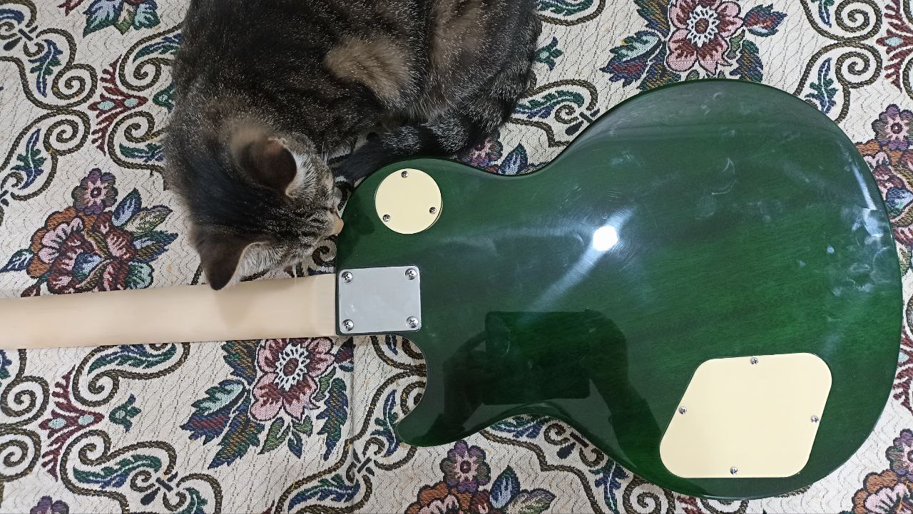 Гилморовская модификация стратокастера - 11