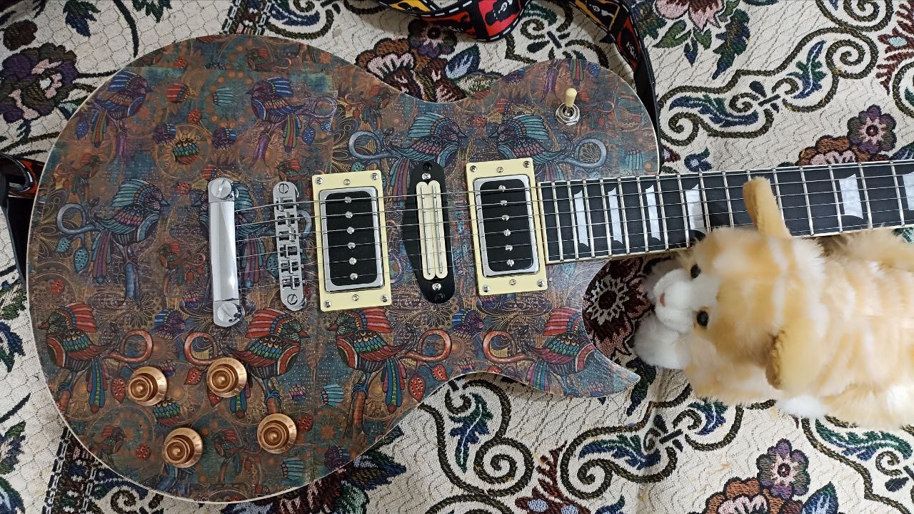 Гилморовская модификация стратокастера - 7