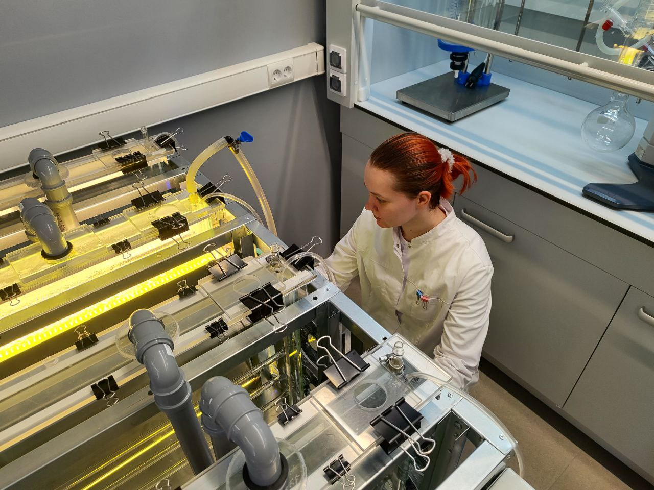 Новый источник энергии: микроводоросли, которые в будущем могут спасти человечество - 2