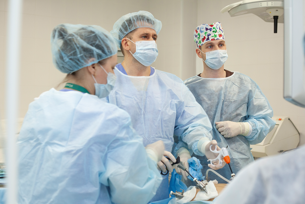 В ловушке лишнего веса: глобальная проблема и пути её решения - 8