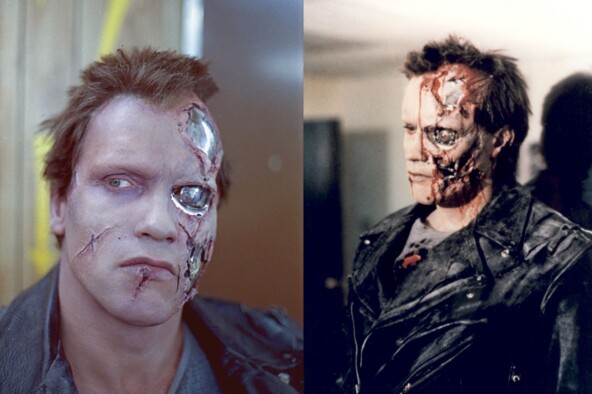 Арнольд и его «дублёр»