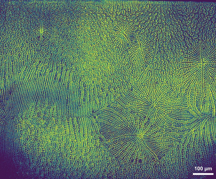 &laquo;Закрученный свет&raquo; в новых дисплеях: учёные создали OLED-технологию на основе движения электронов по спирали