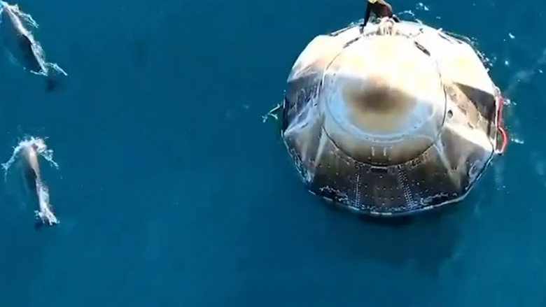«Дракон приземлился». Спасательный Crew Dragon в океане встретили дельфины - 1 «Дракон приземлился». Спасательный Crew Dragon в океане встретили дельфины