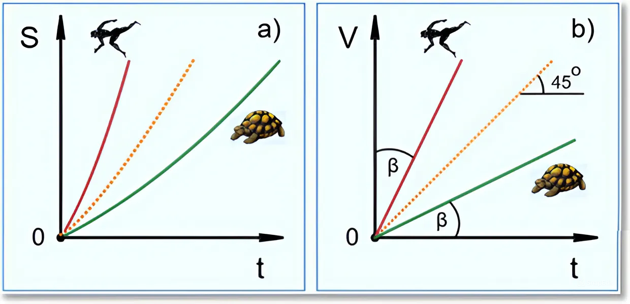Нелинейные пути S (a)) и линейные скорости V (b)) замедленных движений Ахиллеса и черепахи.                                                                                                                                   Зеркальность движений определяется сопряжением постоянных ускорений участников : q0=(qА qЧ)0.5,                                                                                                                                                     где : qА и qЧ  - ускорения Ахиллеса и черепахи; q0 – ускорение расчетного движения вдоль зеркальной линии.