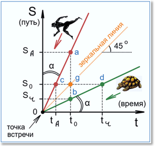  Этапы движения: 1) одиночное движение черепахи из точки d в точку b (Ахиллес стоит в точке а);                                                          2) совместное (одновременное) движение Ахиллеса из точки а и черепахи из точки b в точку встречи 0 .