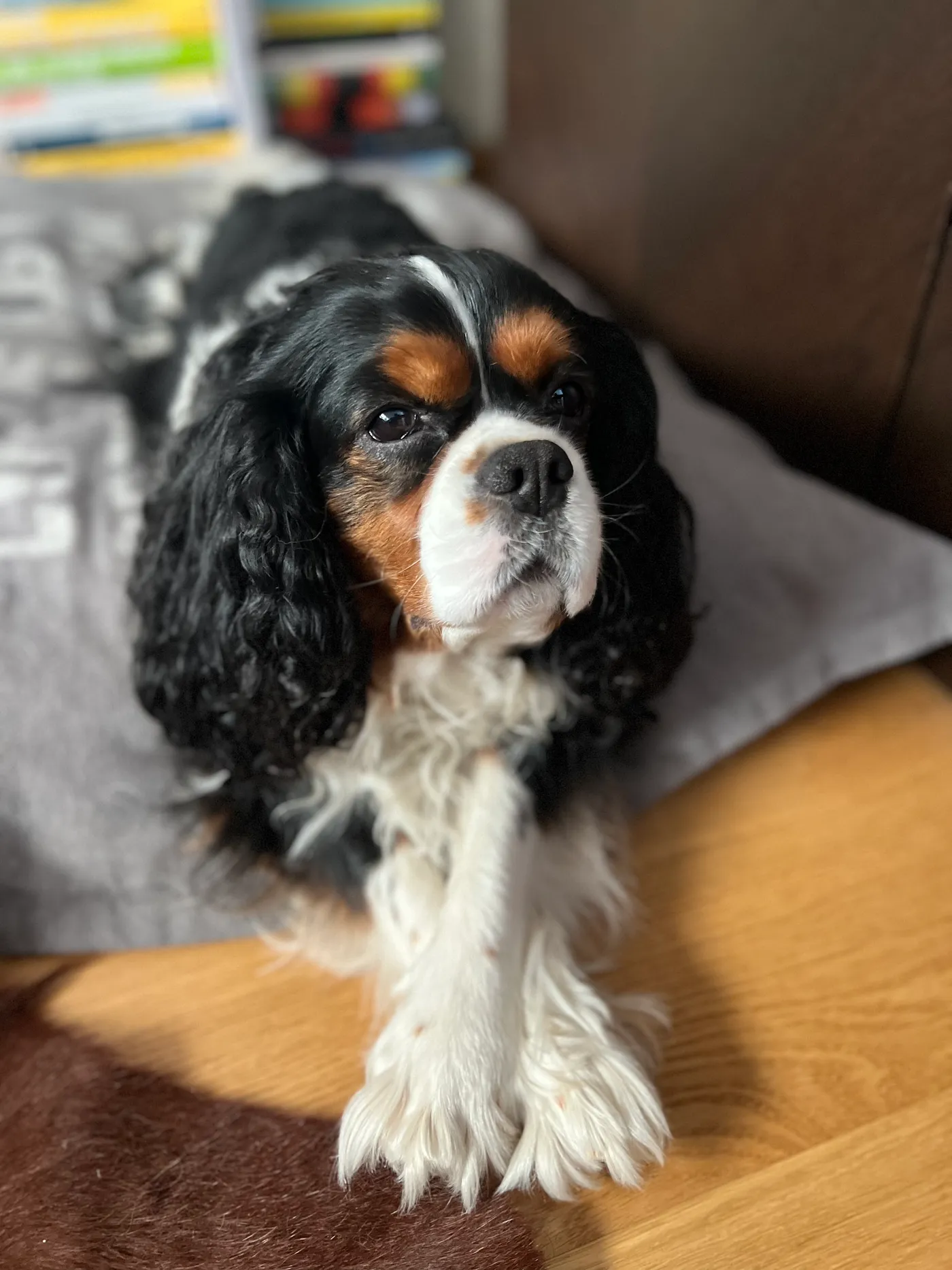 Аури во всей красе (фото автора)