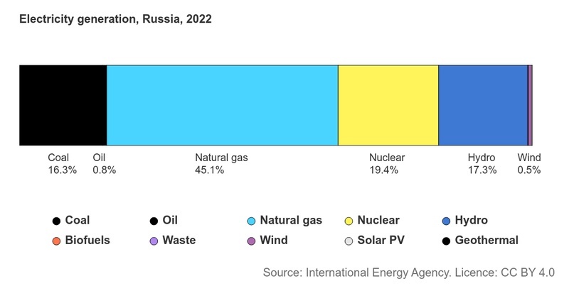 Структура генерации электроэнергии в России на 2023 год. Диаграмма Международного энергетического агентства (IEA)
