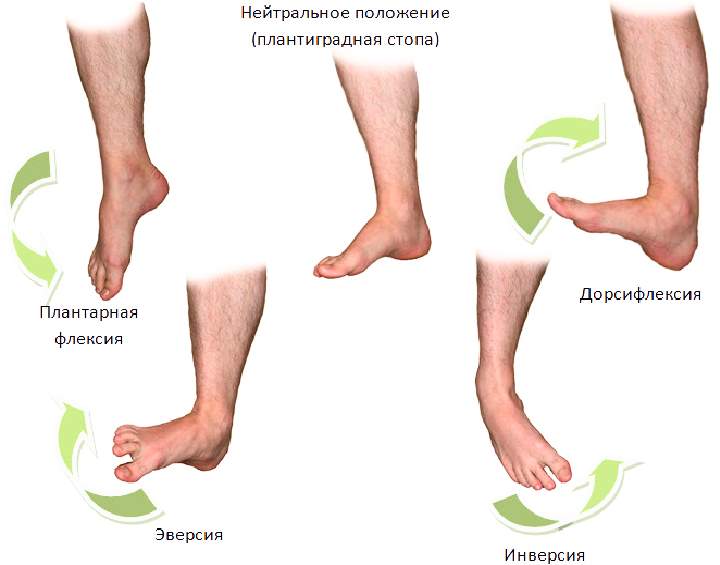 Про плоскостопие - 12