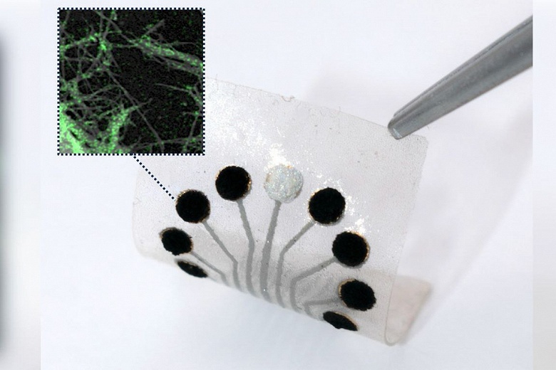 Ученые изобрели инновационный пластырь, который позволяет отслеживать реакции организма на антибиотики и химиотерапию