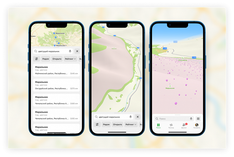 Весеннее обновление: в 2ГИС появились цветущие сакура и маральник