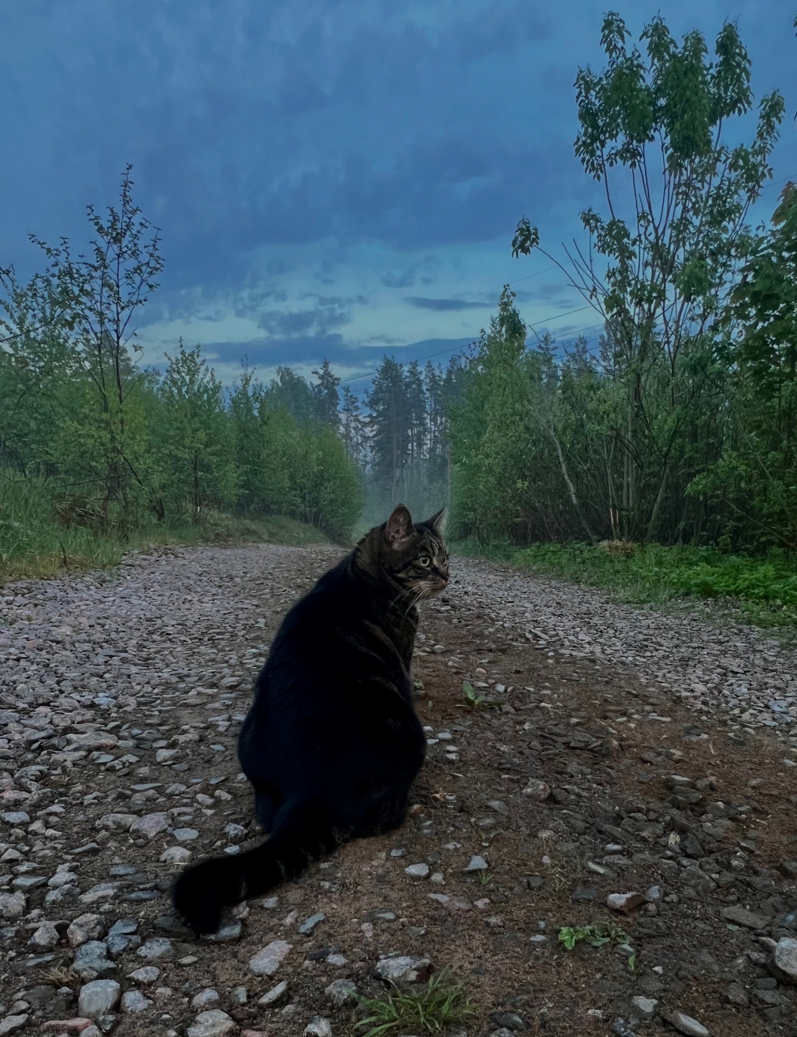 фото Дана Ценжарик