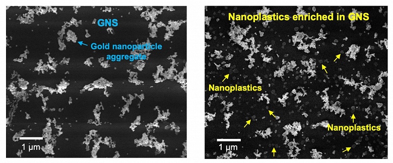Золото против пластика: учёные нашли способ &laquo;увидеть&raquo; невидимые частицы микропластика за минуты