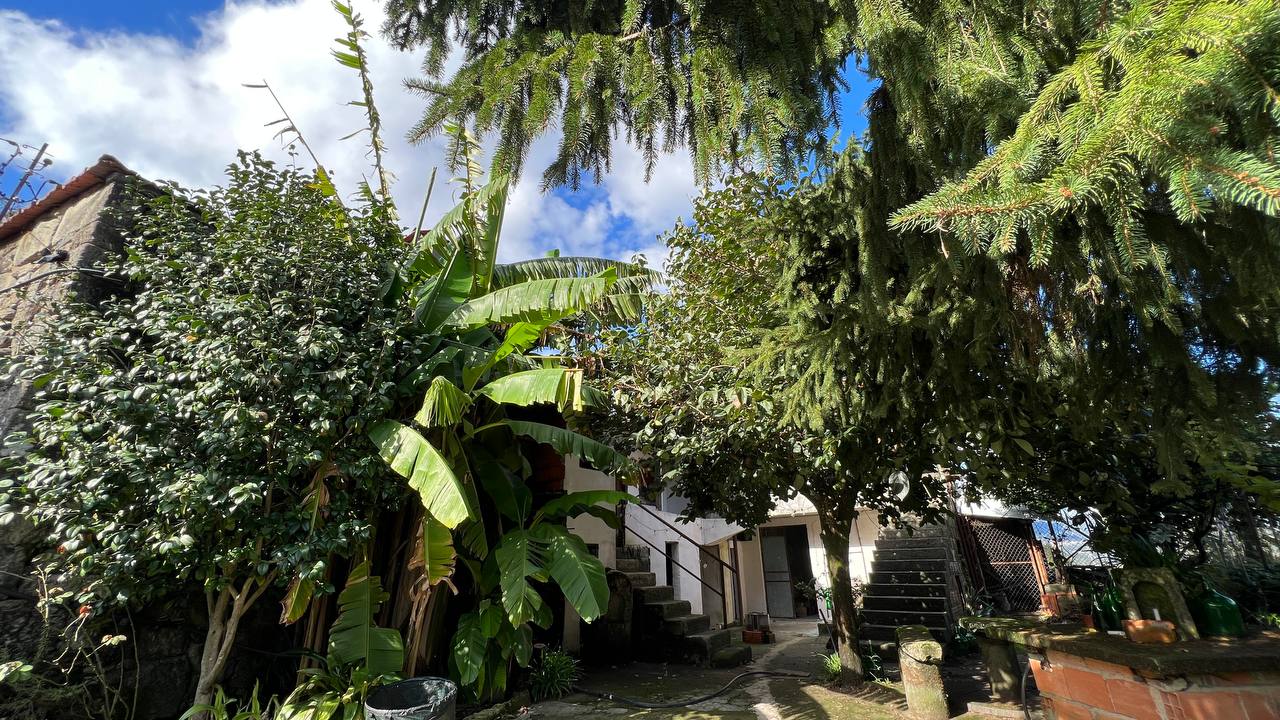 Я продала дом в Сибири и купила дом в Португалии за 5 млн ₽. Мёрзну, но не жалею - 16 Я продала дом в Сибири и купила дом в Португалии за 5 млн ₽. Мёрзну, но не жалею - 16