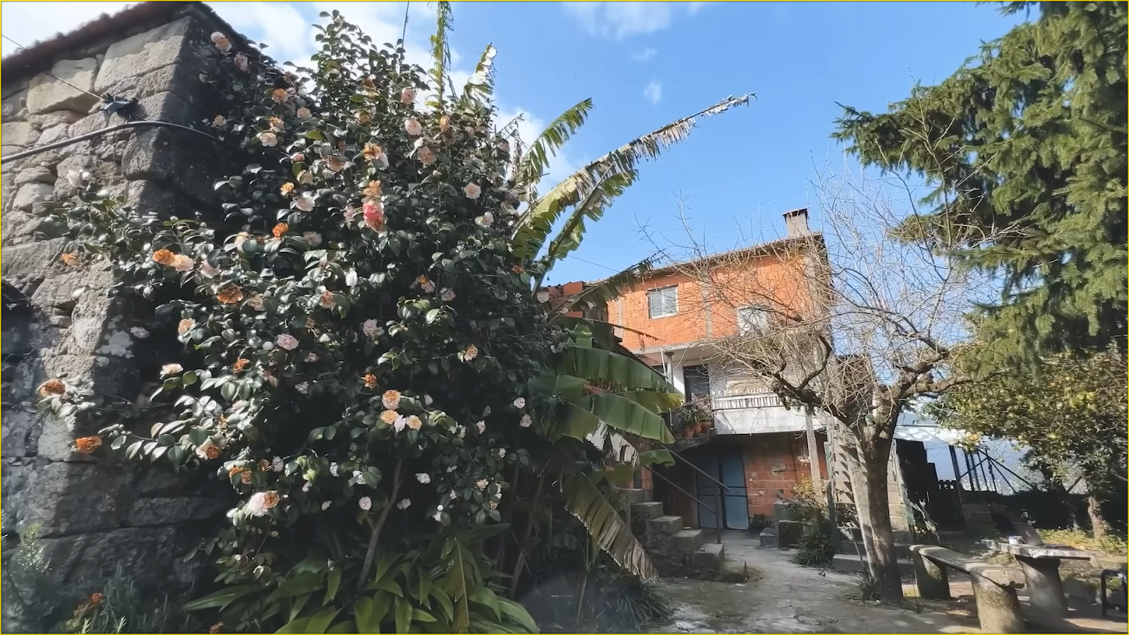 Я продала дом в Сибири и купила дом в Португалии за 5 млн ₽. Мёрзну, но не жалею - 4 Я продала дом в Сибири и купила дом в Португалии за 5 млн ₽. Мёрзну, но не жалею - 4