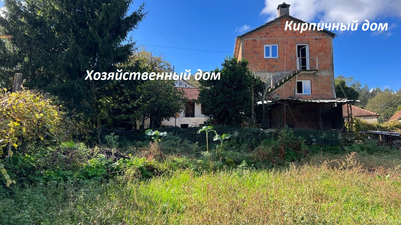 Я продала дом в Сибири и купила дом в Португалии за 5 млн ₽. Мёрзну, но не жалею - 6 Я продала дом в Сибири и купила дом в Португалии за 5 млн ₽. Мёрзну, но не жалею - 6