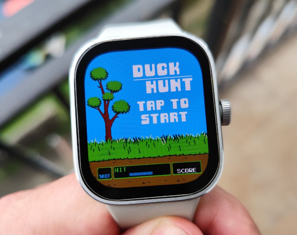 Retro Game Duck Hunt written on LUA
