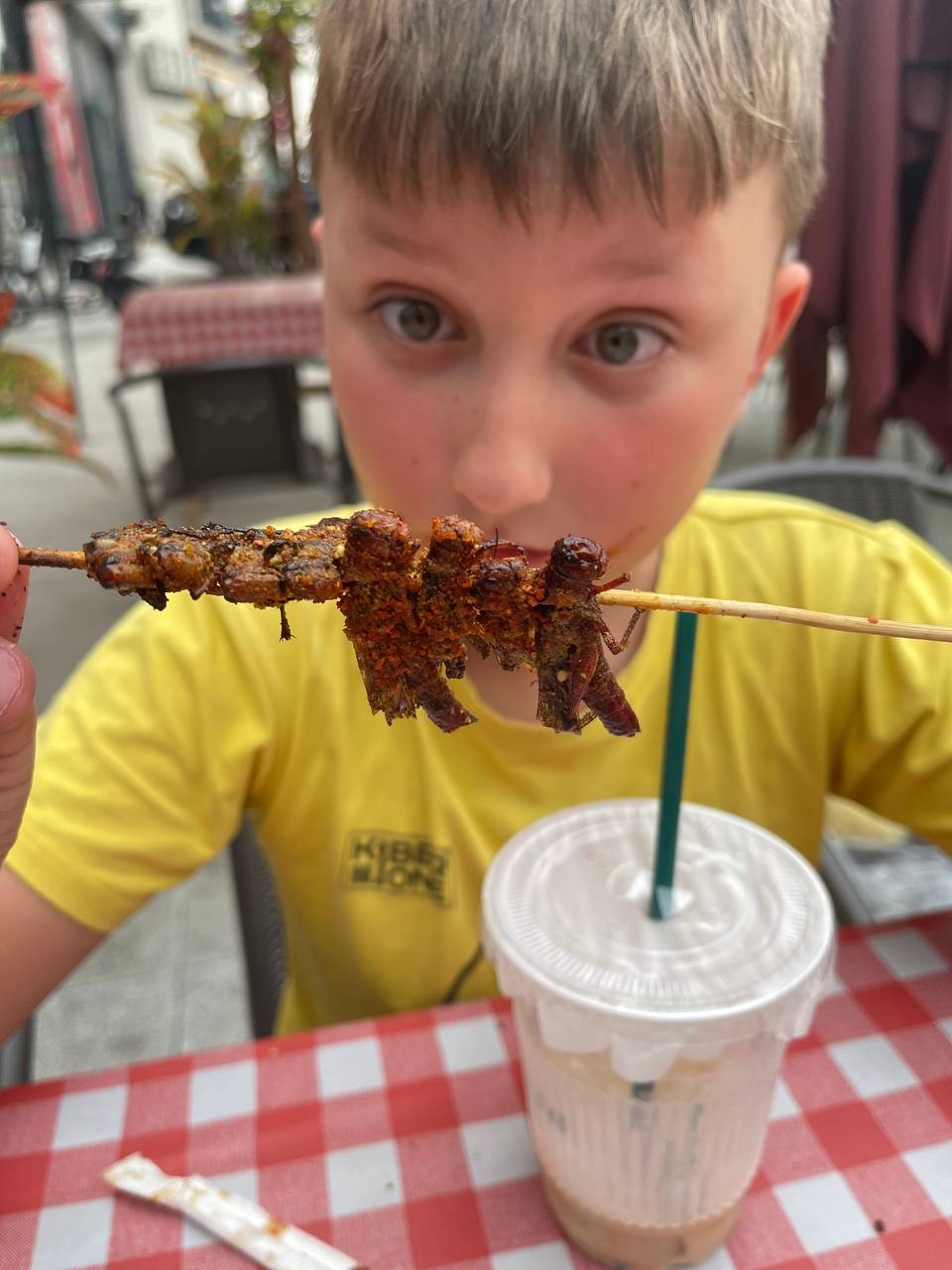 Шашлычки из кузнечиков сыну очень понравились 