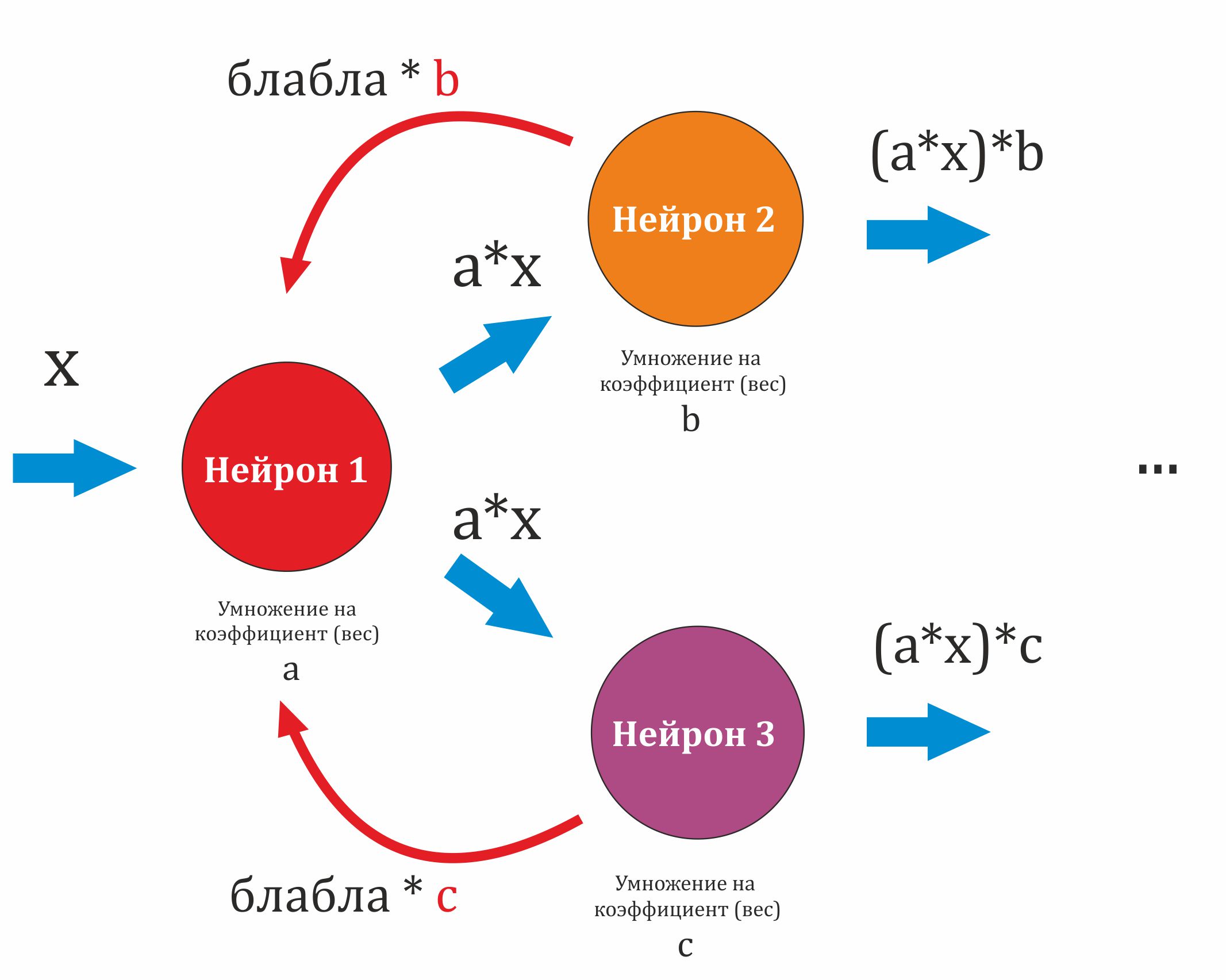 Обратное распространение от 2х нейронов 