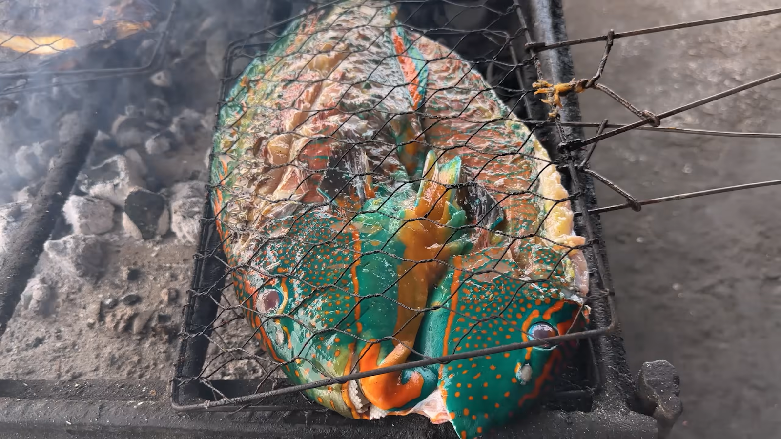 Это рыба попугай. Две готовые такие рыбы выходят примерно на 100 000 рупий (500 ₽).