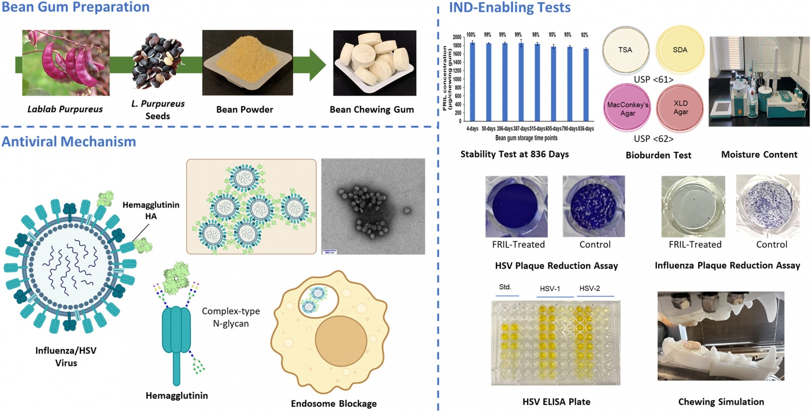Противовирусная жевательная резинка - 2