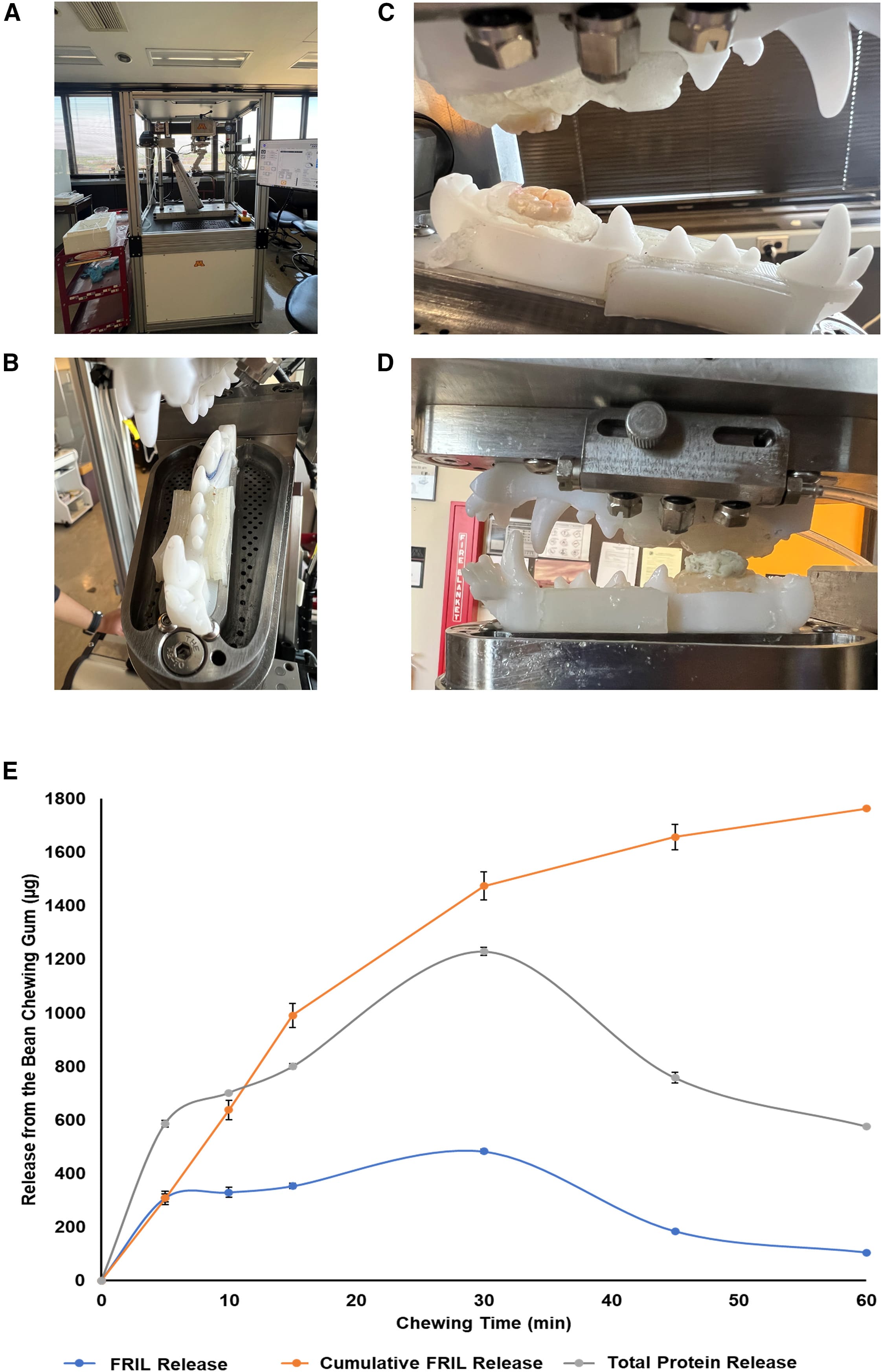Противовирусная жевательная резинка - 4