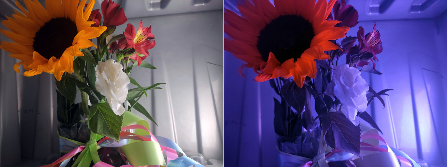 Рис. 16 — Тестовые объекты в прототипе просмотровой камеры из полипропиленового ящика на «дне открытых дверей» МЭИ