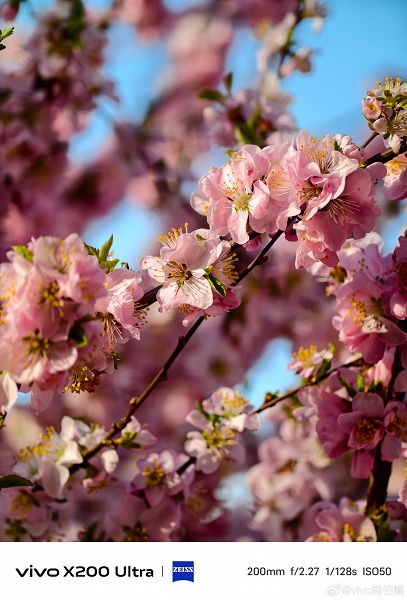 &laquo;Король супертелеобъективов&raquo; показал себя в деле. Даже при 35-кратном зуме он демонстрирует детализацию, как основные камеры обычных смартфонов, со слов Vivo