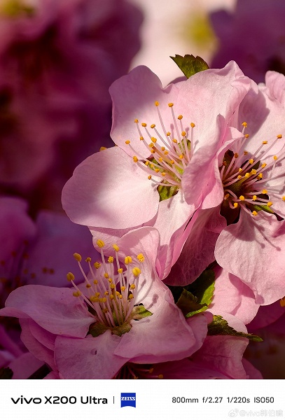 &laquo;Король супертелеобъективов&raquo; показал себя в деле. Даже при 35-кратном зуме он демонстрирует детализацию, как основные камеры обычных смартфонов, со слов Vivo