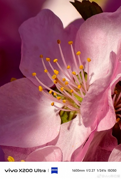 &laquo;Король супертелеобъективов&raquo; показал себя в деле. Даже при 35-кратном зуме он демонстрирует детализацию, как основные камеры обычных смартфонов, со слов Vivo