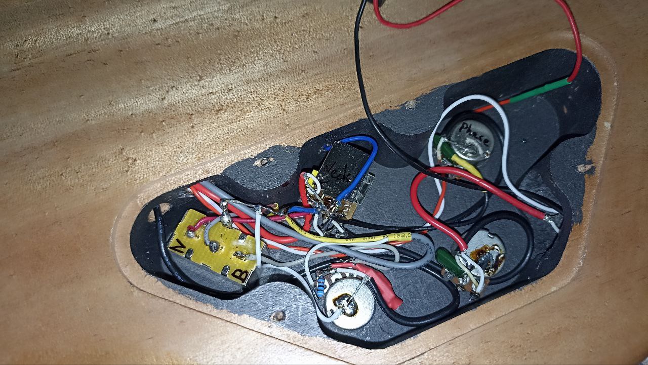 Котогитара одичала - 14