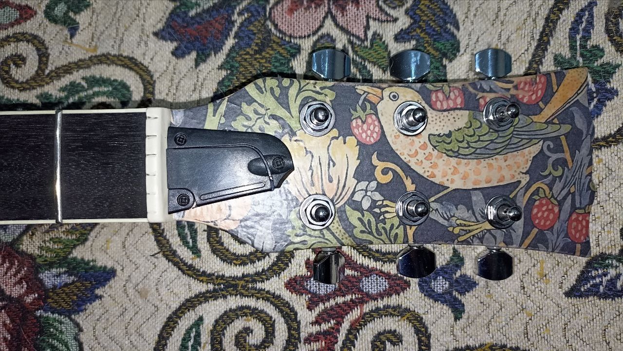 Котогитара одичала - 25