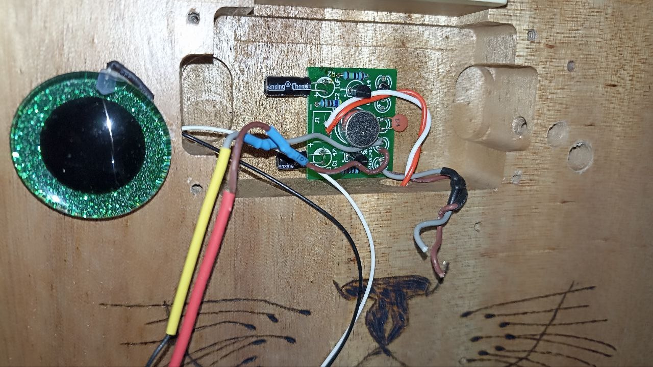 Котогитара одичала - 34