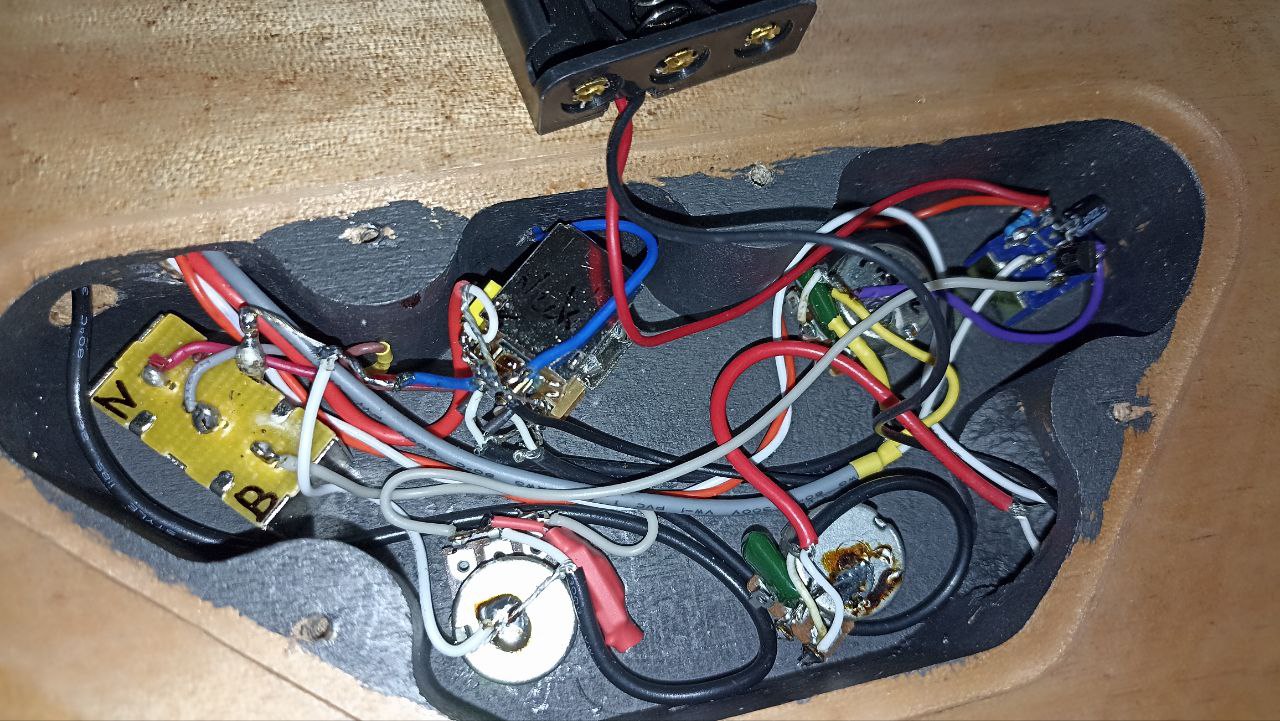 Котогитара одичала - 37