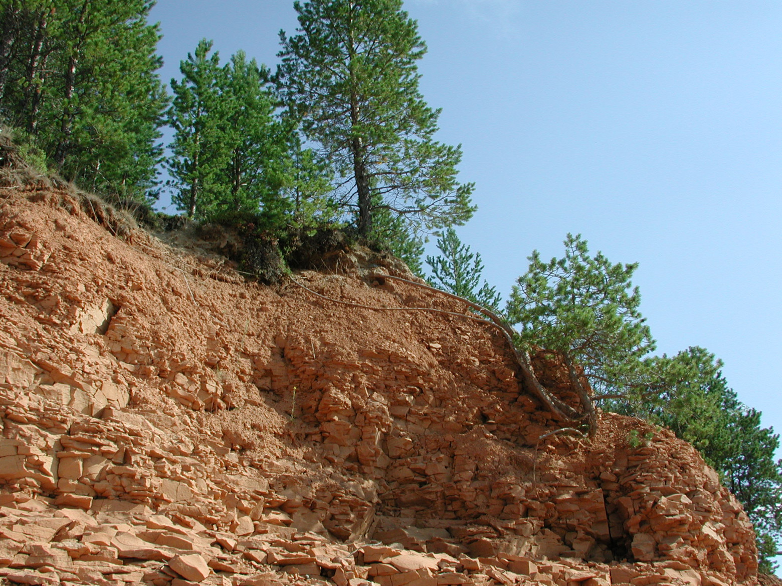 Nikon E990 — цифровой динозавр 2000 года - 21