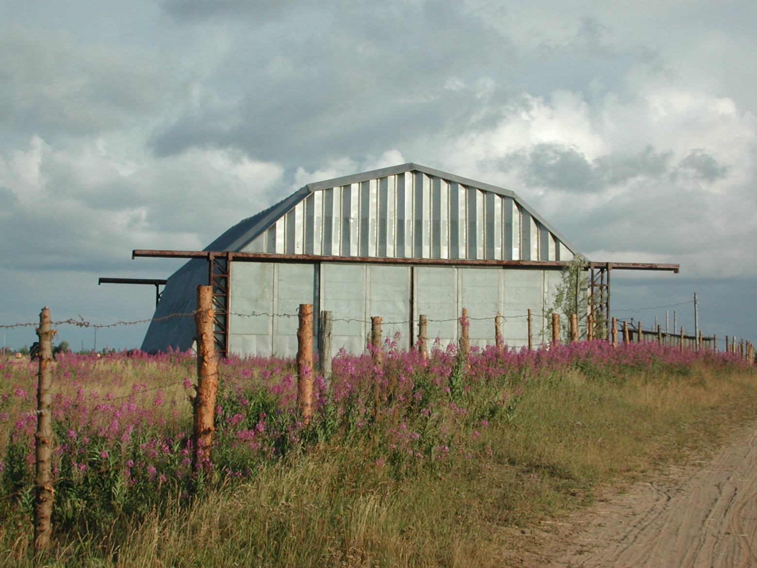 Nikon E990 — цифровой динозавр 2000 года - 24