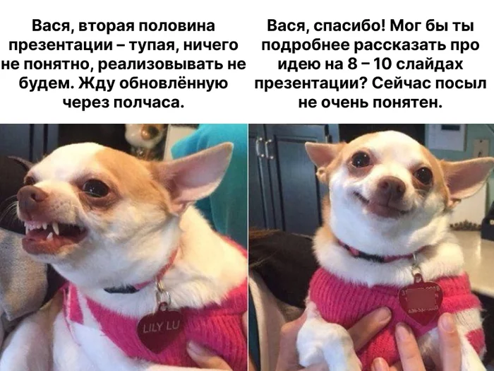 «Это база», — сказал тимлид и украл мою идею - 1