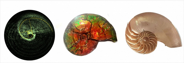 &laquo;Это как подсказка от Вселенной&raquo;. Ученые открыли новый способ управления светом &mdash; &laquo;оптический ротатум&raquo;