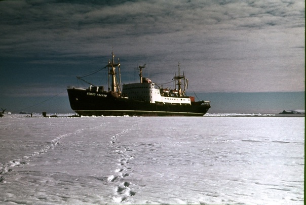 «Михаил Сомов» во льдах, правда, это дрейф не 1991 года, а ещё более героический — шестью годами ранее. Источник