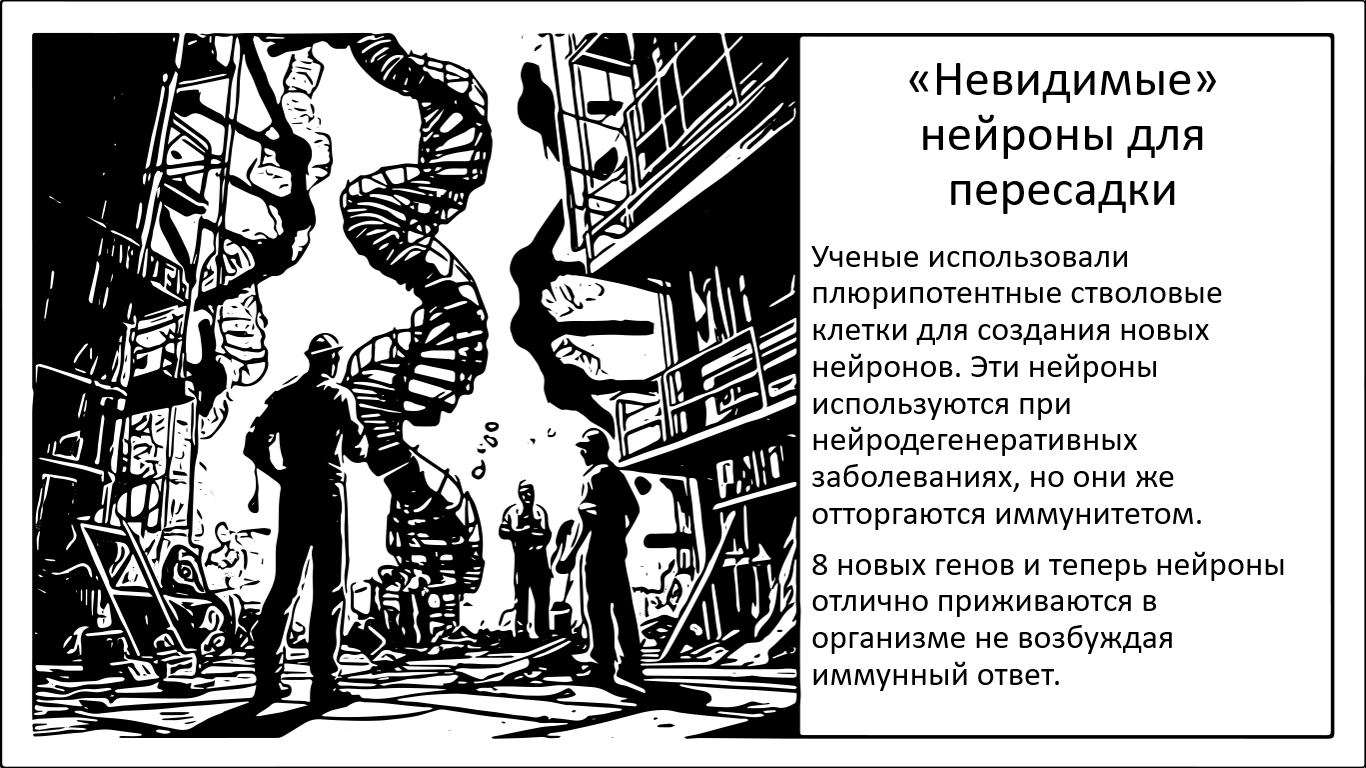 Пересадка нейронов. И обход аутоиммунной реакции - 1