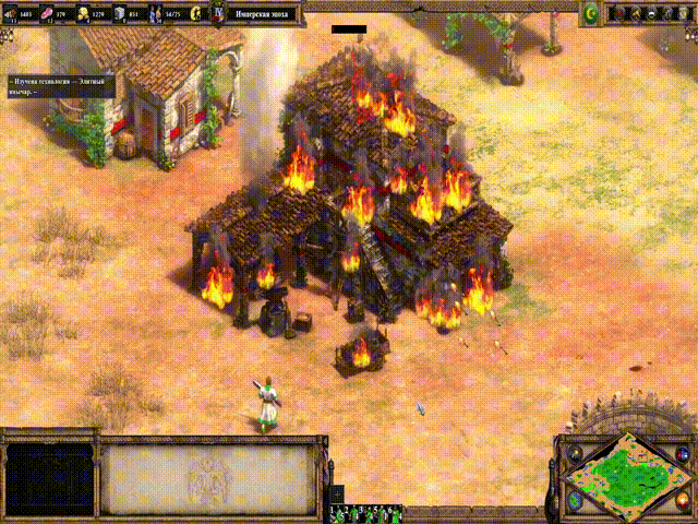 Ностальгические игры: Age of Empires II - 12