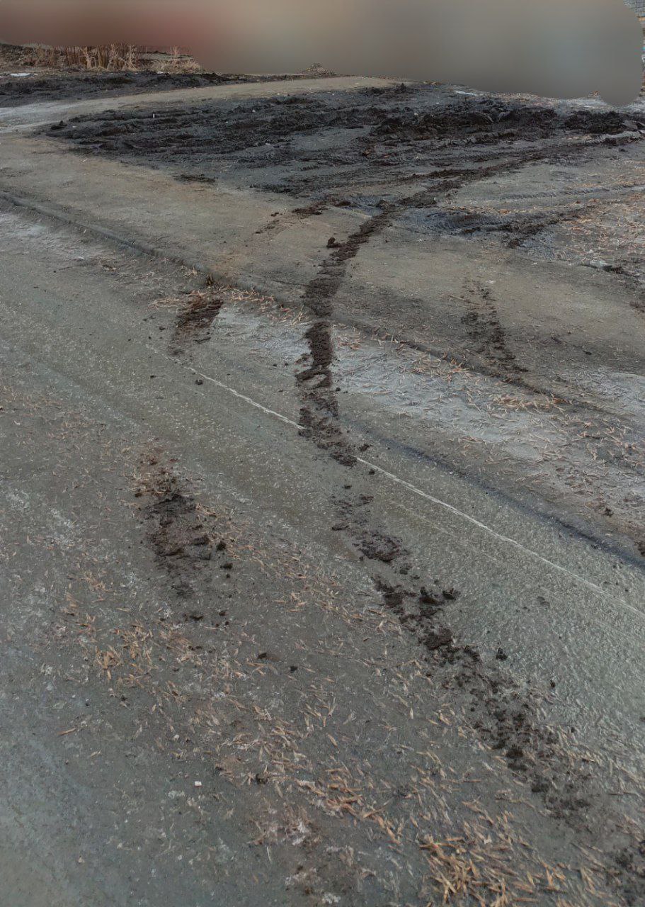 Там стояло три автомобиля. Собственники живут в этом доме и их не смущает тот факт, что своей ленью они превращают свой же дом в свинарник.