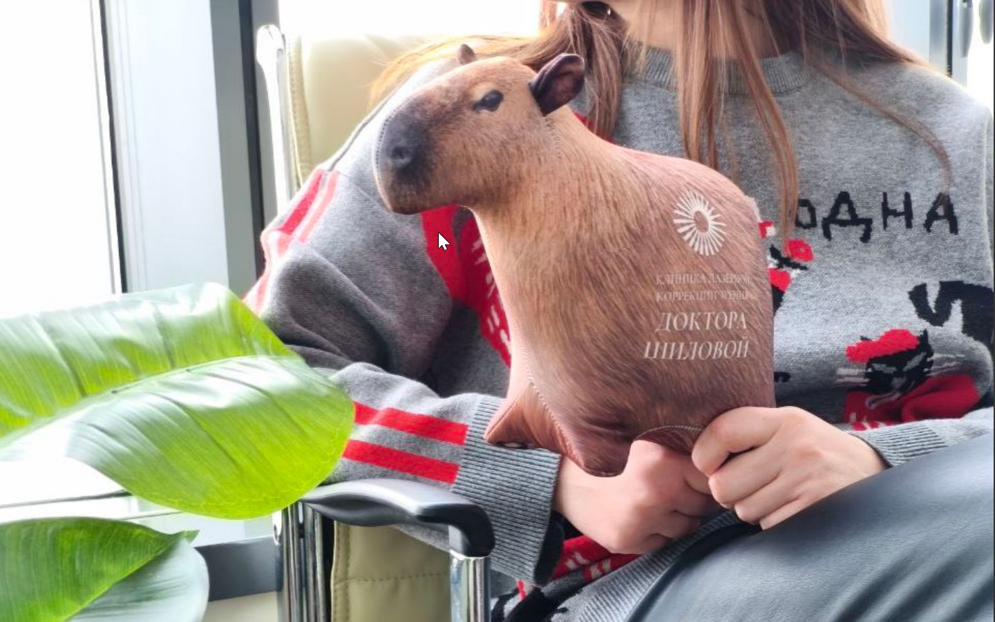 Игрушечная капибара – подарок от клиники каждому пациенту