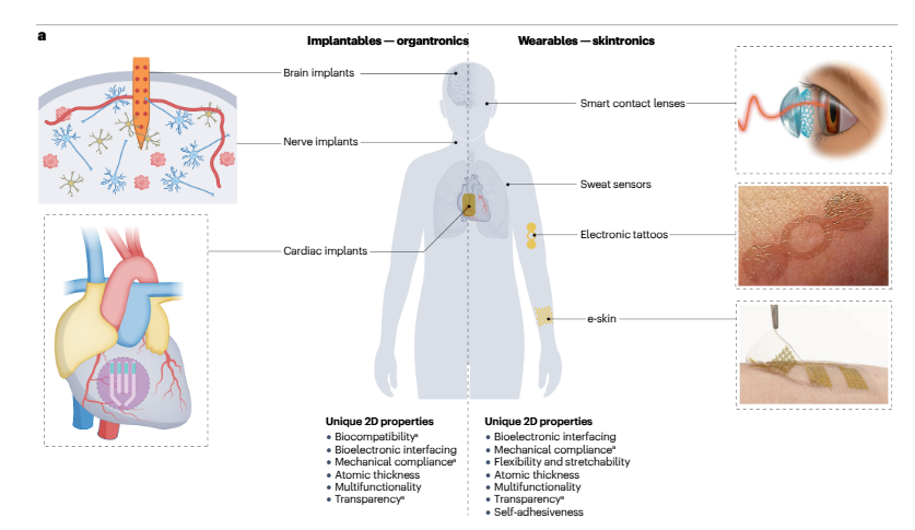 Перспективы развития технологии 2D биоэлектроники подробно описали в этой статье