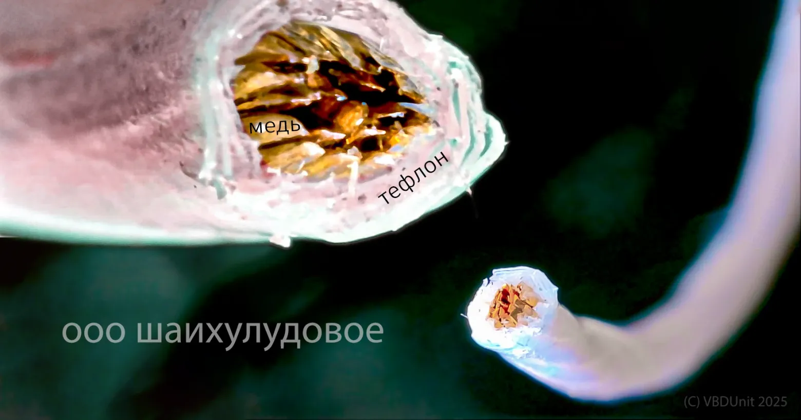 Используемый МГТФ под микроскопом