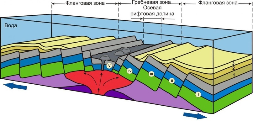 Схема раздвижения коры при внедрении в неё мантийного вещества в срединно-океаническом хребте. Источник: https://popovgeo.sfedu.ru/lecture_19