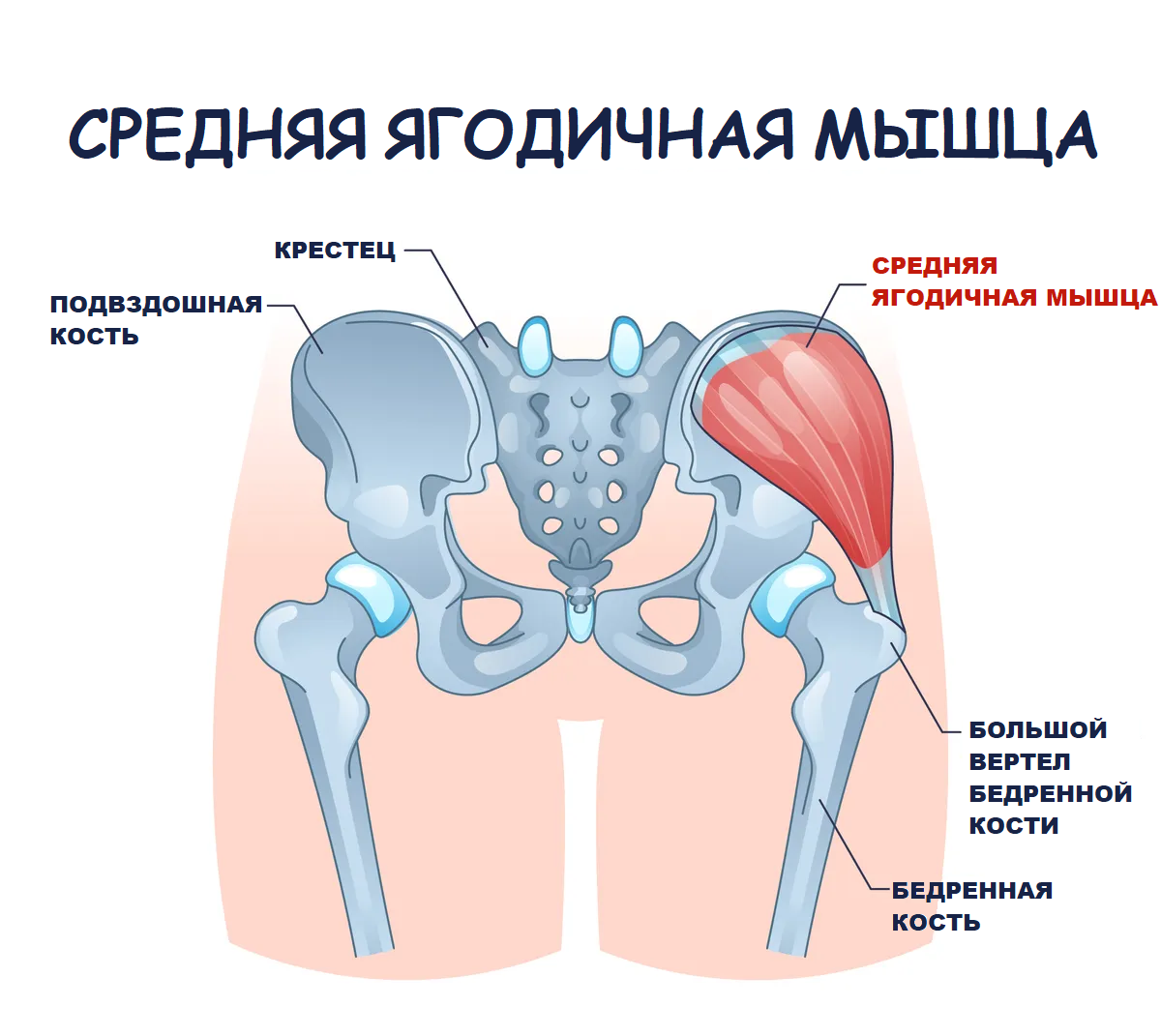 Вы можете укрепить среднюю ягодичную мышцу с помощью такого упражнения, как попеременный подъем каждой ноги из положения лежа.