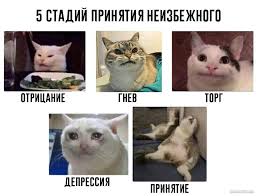 Вcё ещё трекаете? Почему контроль часов мешает работе команды (и что с этим делать) - 2