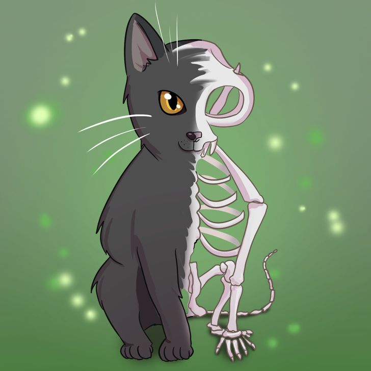 Каламический космологический аргумент и первопричина всего - 3