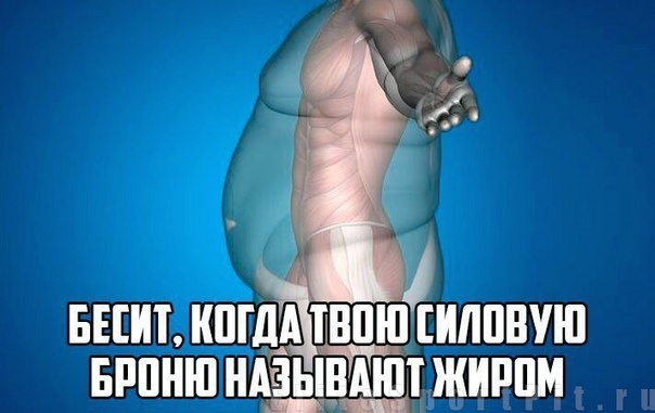 Ожирение: сказ о том, как жир твой иммунитет шатал, а ещё мозг и детей - 4